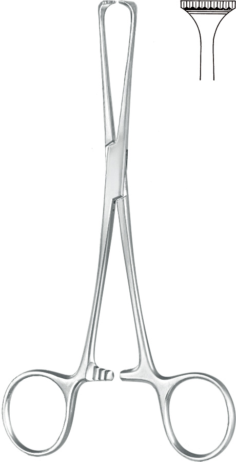 Intestinal grasping forceps, acc. to Allis, 11 x 12 teeth