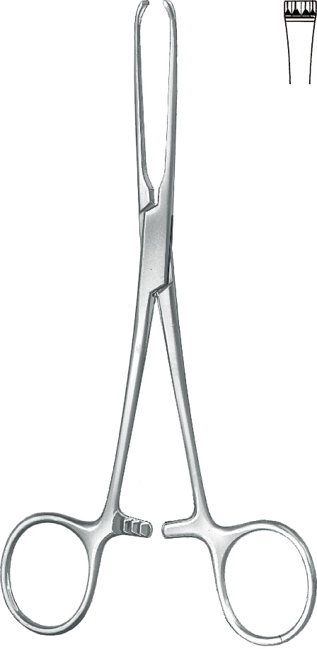 Intestinal grasping forceps, acc. to Judd-Allis, 3 x 4 teeth