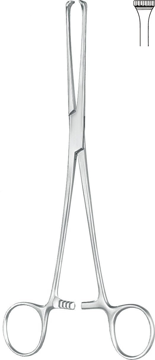 Intestinal grasping forceps, acc. to Thoms-Allis, 6 x 7 teeth
