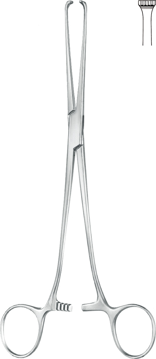 Intestinal grasping forceps, acc. to Allis, 5 x 6 teeth