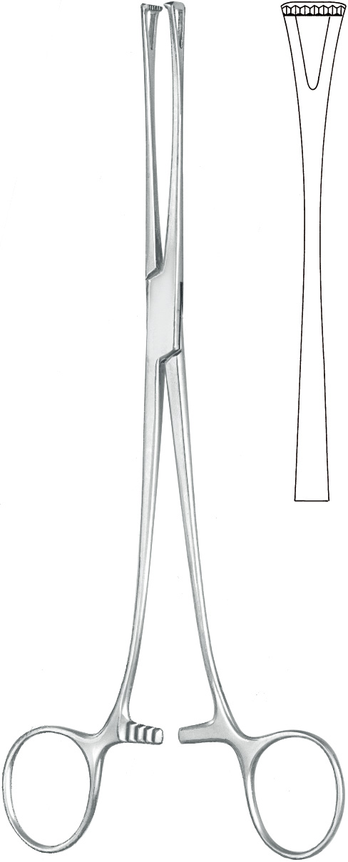 Intestinal grasping forceps, acc. to Lockwood, fenestrated