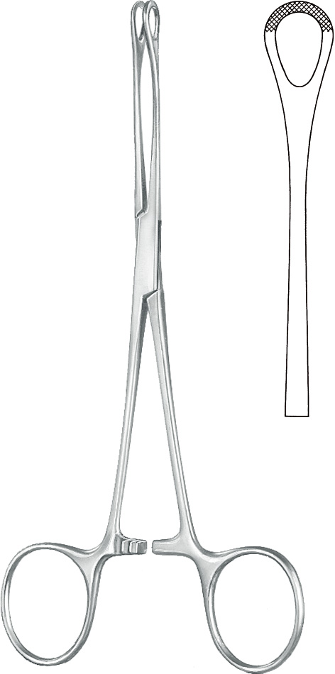 Intestinal grasping forceps, acc. to Williams, fenestrated