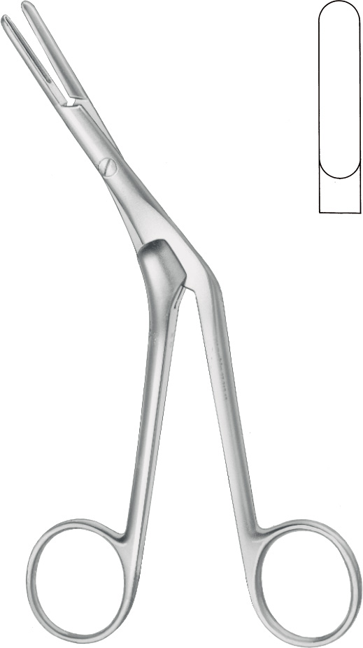 Septum and vomer forceps, acc. to Craig