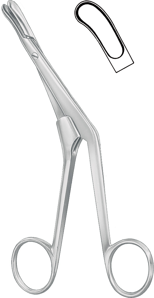 Septum forceps, curved left