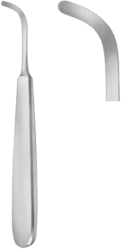 Palatal raspatory, curved left