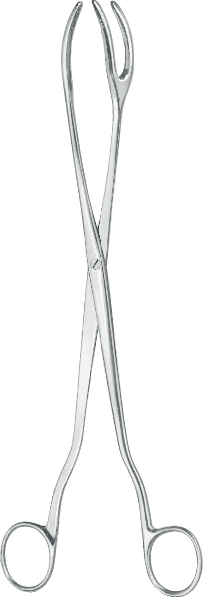 Sterilizing forceps